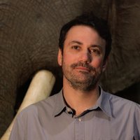 avatar de Antoine Taly