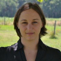 avatar de Marie-Noëlle Labour